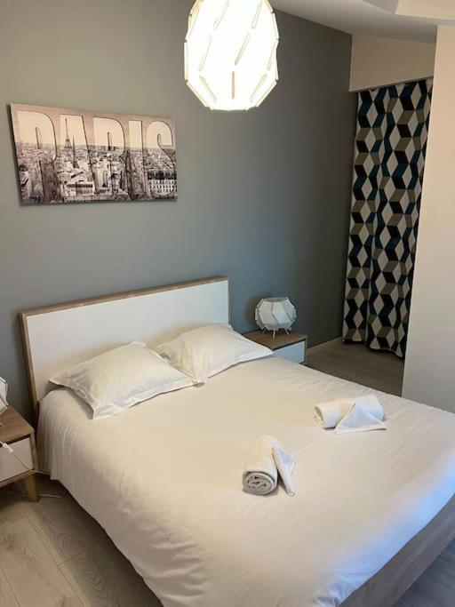 Le Paris Eiffel - Appartement Cosy En Plein Centre Bourgoin-Jallieu Dış mekan fotoğraf
