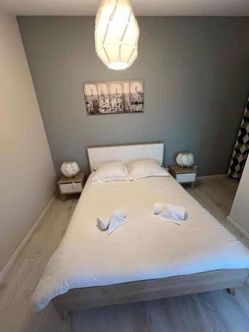 Le Paris Eiffel - Appartement Cosy En Plein Centre Bourgoin-Jallieu Dış mekan fotoğraf